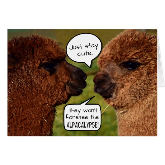 Funny Alpaca Alpacalypse Scheming Cards (Front Horizontal)