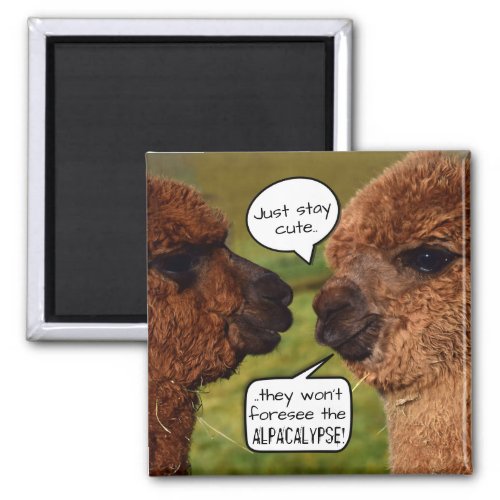 Funny Alpaca Alpacalypse Scheming Magnet