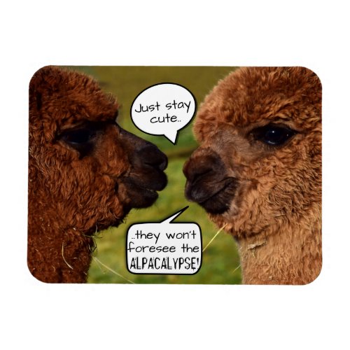 Funny Alpaca Alpacalypse Scheming Magnet