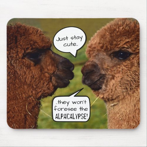 Funny Alpaca Alpacalypse Scheming Mouse Pad