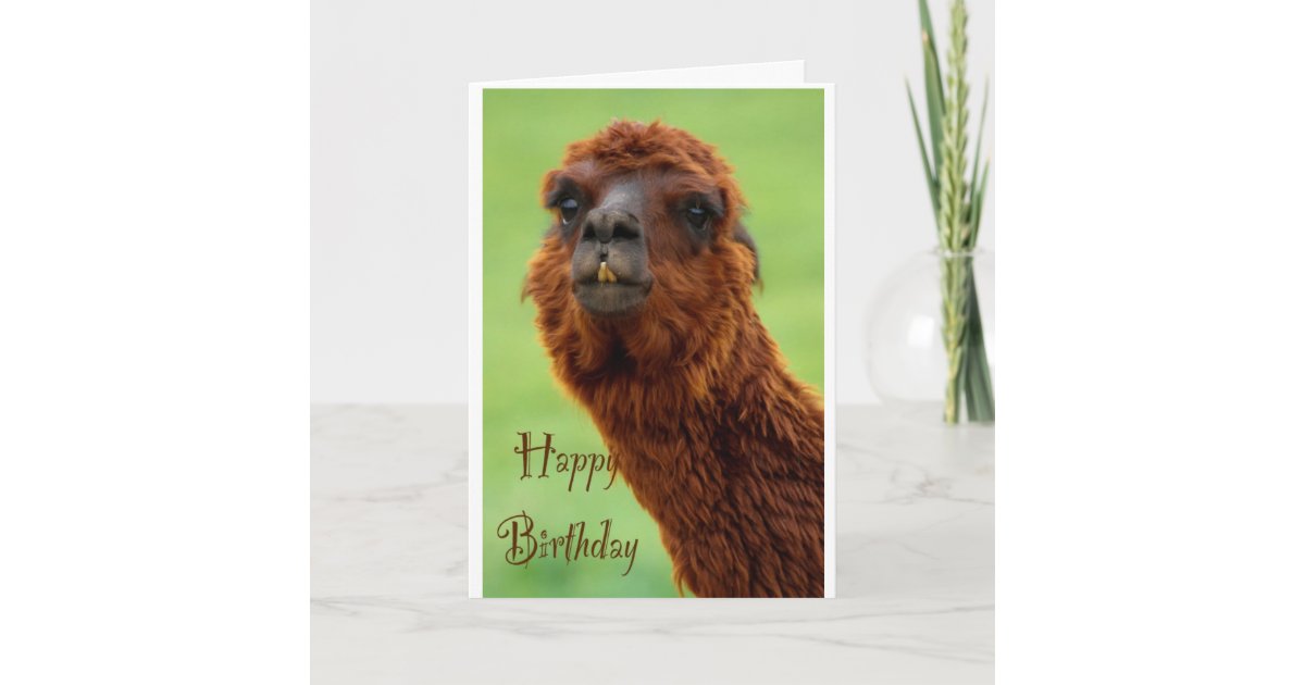 Funny Teeth Llama Personalized Birthday Card