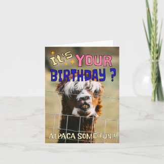 Funny Alpaca Birthday Card – Animal Pun Humor