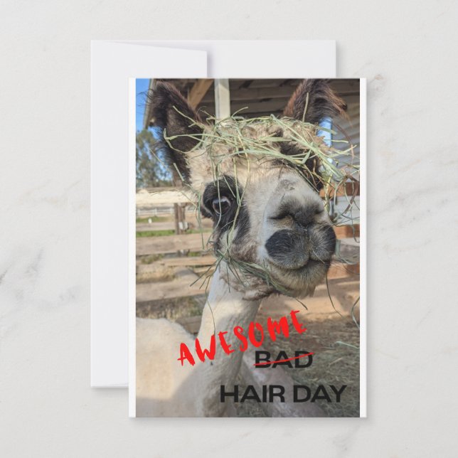 Funny Alpaca Card, Any Occasion Thank You Card (Front)