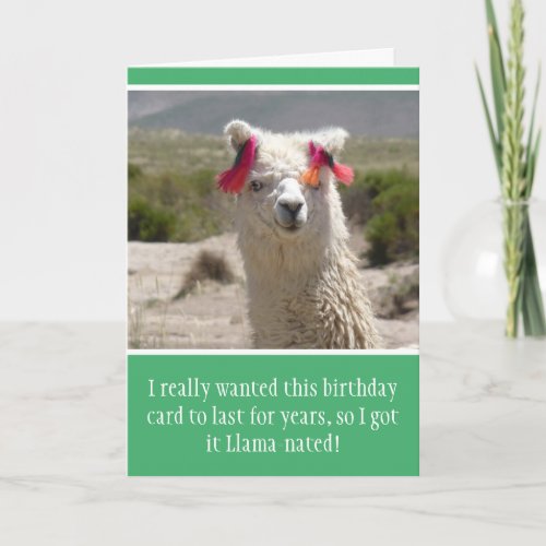 Funny Alpaca Llama Birthday Card