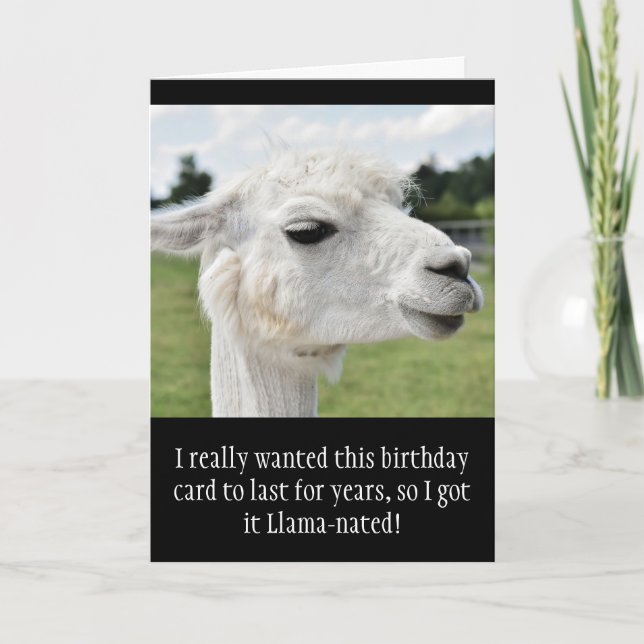 Funny Alpaca Llama Birthday Card (Front)