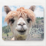 Funny Alpaca Llama Don&#39;t Touch I Spit Mouse Pad at Zazzle