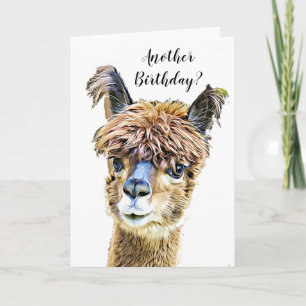 Funny Alpaca Llama Humor Birthday Card