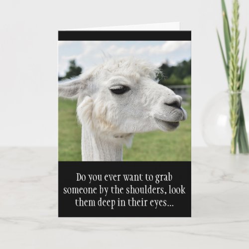 Funny Alpaca Llama Photo with Jokes Card