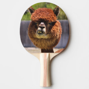 Funny Alpaca Ping Pong Paddle