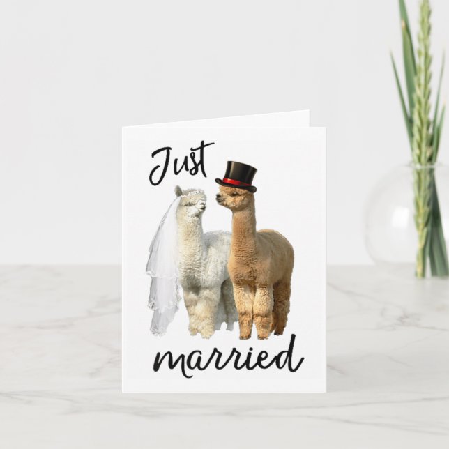 Funny Alpaca Shirt Bride And Groom Wedding _1  Card (Front)