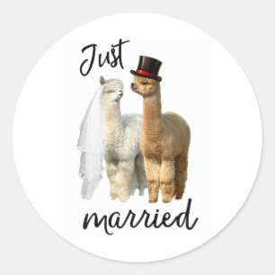 Funny Alpaca Shirt Bride And Groom Wedding _1  Classic Round Sticker
