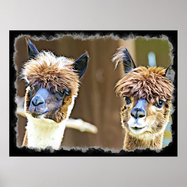 Funny Alpacas Poster (Front)