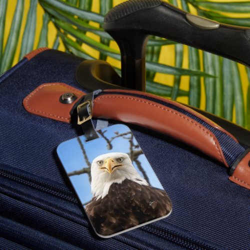 Funny American Bald Eagle Face Wildlife Photograph Luggage Tag