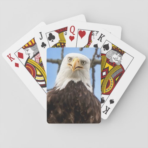 Funny American Bald Eagle Face Wildlife Photograph Playing Cards