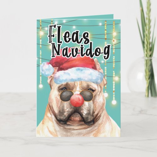 Funny American Bully in lights happy holidays Card