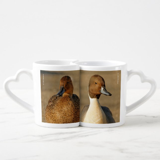Funny American / Northern Pintail Ducks Gothic Coffee Mug Set (Back Nesting)