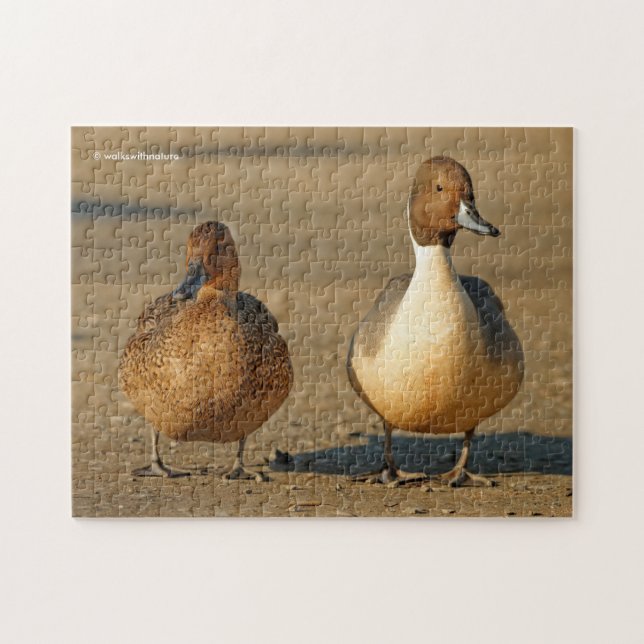 Funny American / Northern Pintail Ducks Gothic Jigsaw Puzzle (Horizontal)