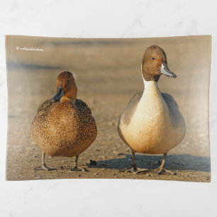Funny American / Northern Pintail Ducks Gothic Trinket Tray