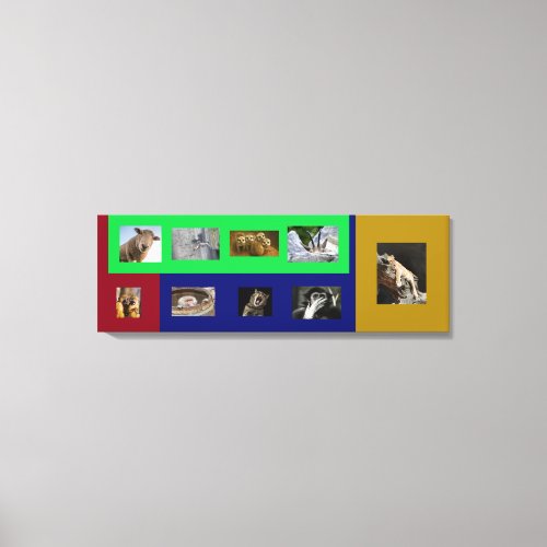 Funny Amimals on Colorful Stretched Canvas