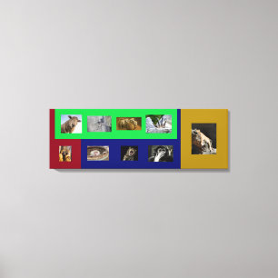 Funny Amimals on Colorful Stretched Canvas Print