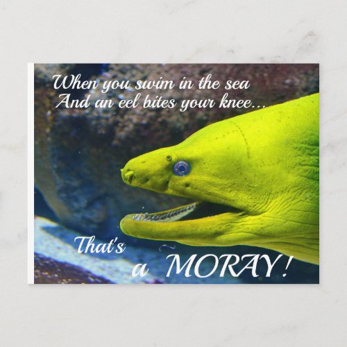 Funny Amore a Moray Valentine Postcard