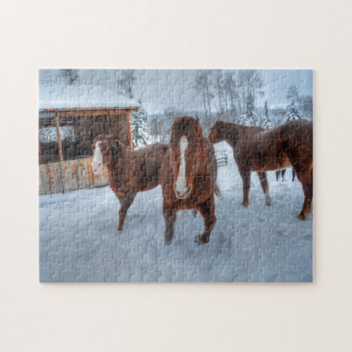 Funny Amorous Stallion and Reluctant Mare Horses Jigsaw Puzzle