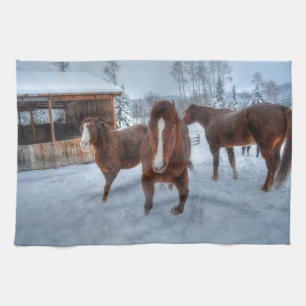 Funny Amorous Stallion and Reluctant Mare Horses Kitchen Towel