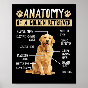 Funny Anatomy Golden Retriever Dog Lover Gift Poster