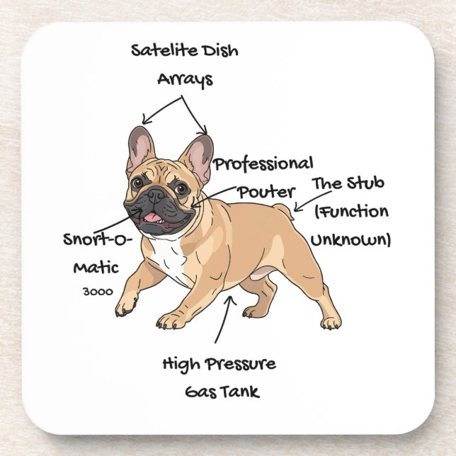 Funny Anatomy of a French Bulldog Illustration Beverage Coaster (Front)