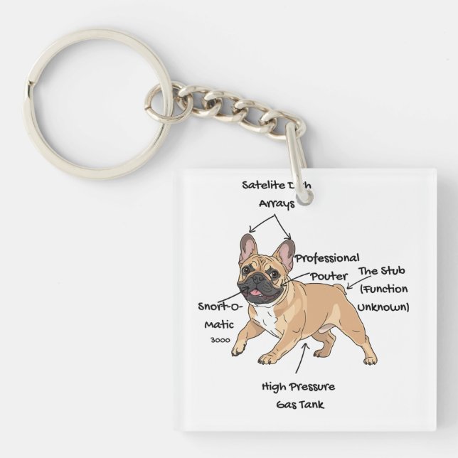 Funny Anatomy of a French Bulldog Illustration Keychain (Front)