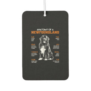 Funny Anatomy Of A Newfoundland Dogs Air Freshener