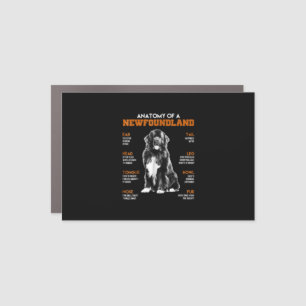 Funny Anatomy Of A Newfoundland Dogs Car Magnet