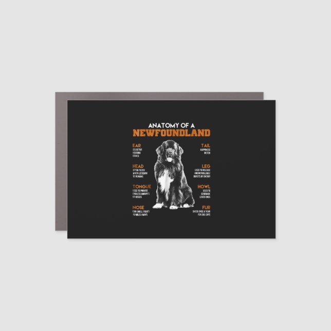 Funny Anatomy Of A Newfoundland Dogs Car Magnet (Front)