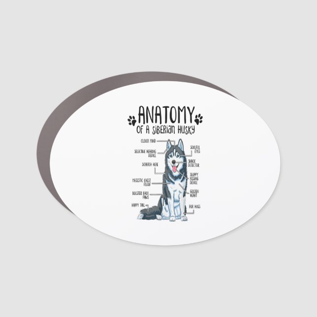 Funny Anatomy Siberian Husky Dog Lover Gift Car Magnet (Front)