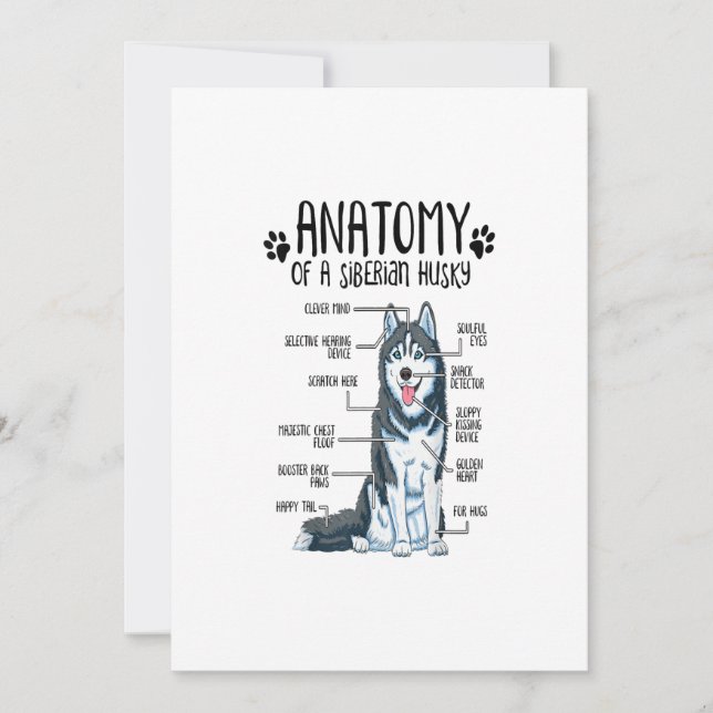 Funny Anatomy Siberian Husky Dog Lover Gift Holiday Card (Front)