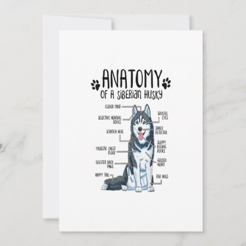 Funny Anatomy Siberian Husky Dog Lover Gift Holiday Card