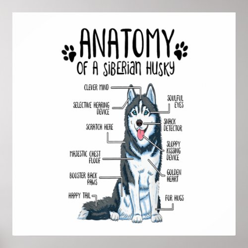 Funny Anatomy Siberian Husky Dog Lover Gift Poster