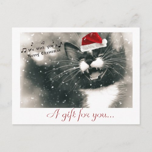 Funny and Adorable Christmas Cat Gift Certificate Postcard