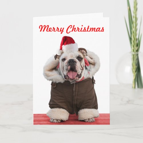 Funny and cute Bulldog Christmas cards