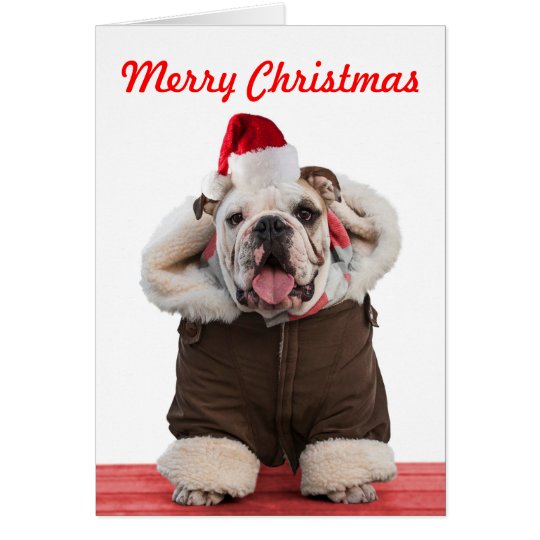 Funny and cute Bulldog Christmas cards