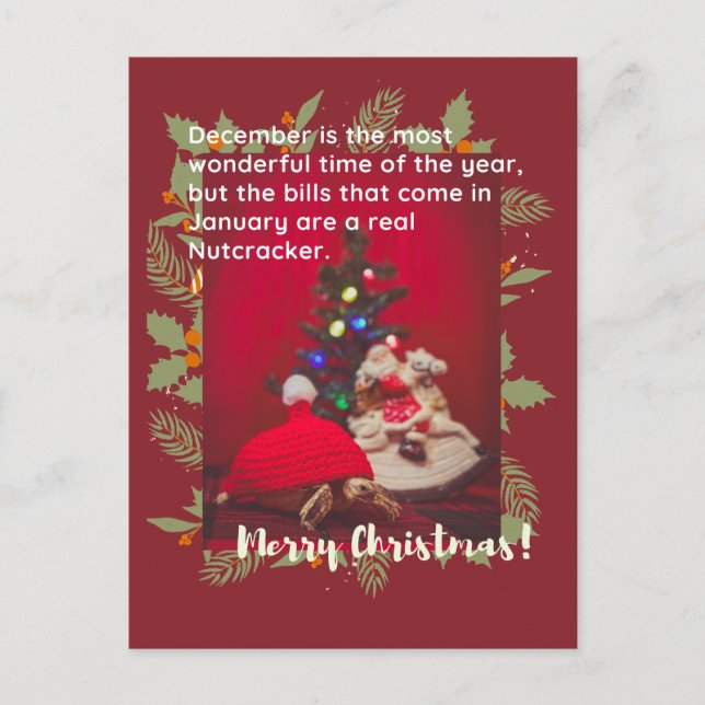 Funny and cute Merry Christmas baby Sulcata Turtle Postcard (Front)