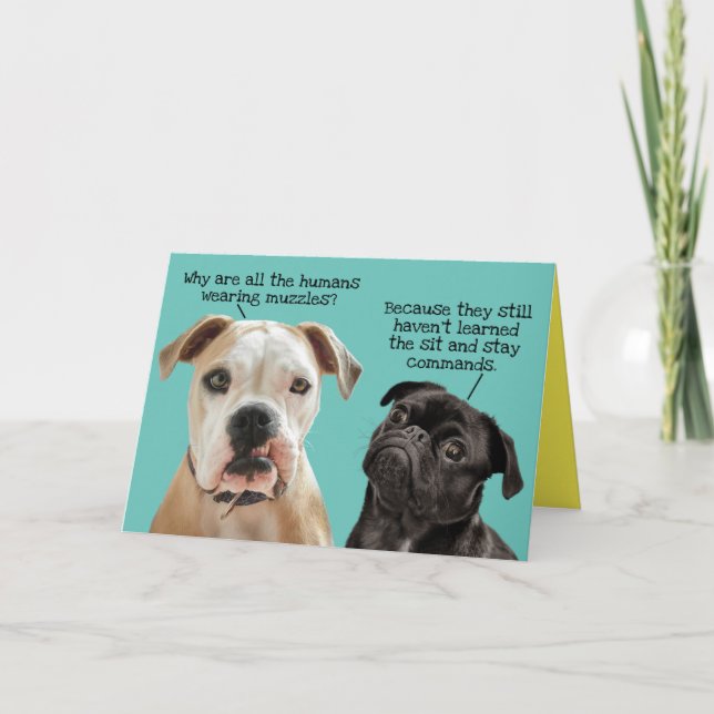 Funny and Cute Sit and Stay Dogs During Pandemic Card (Front)