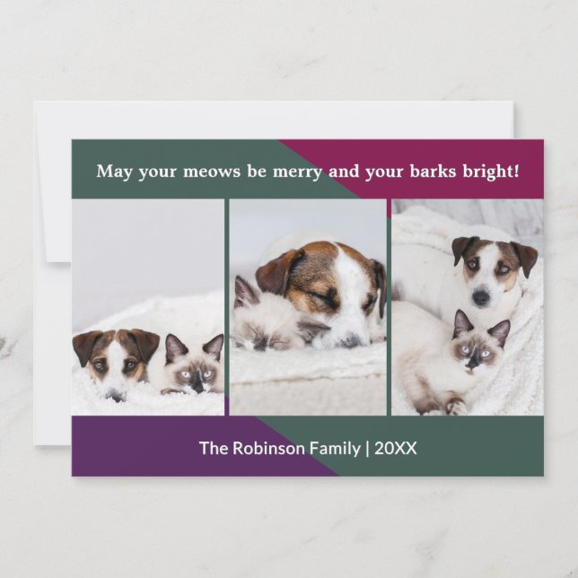 Funny and Festive Christmas Pets Custom Photos Holiday Card (Front)