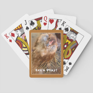 Funny Angled Chicken Head Photo  Poker Cards