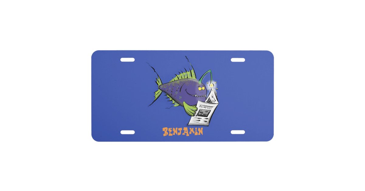 Brushed Aluminum BASS Fishing License Plate American Flag Fisherman Novelty  Auto Tag 6x12 