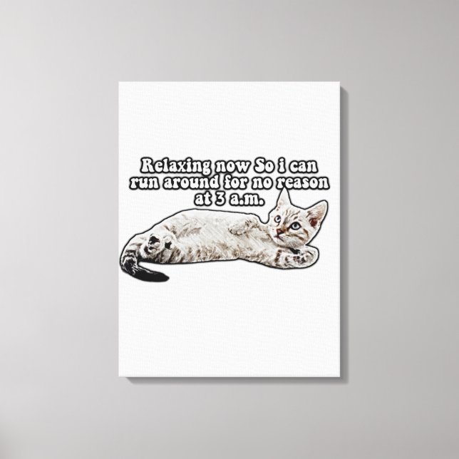 Funny angry cat meme for cat owners & lovers canvas print (Front)