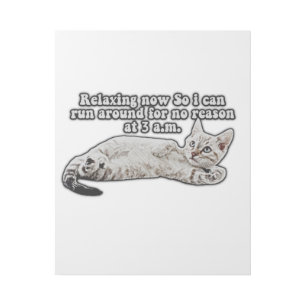 Funny angry cat meme for cat owners & lovers gallery wrap