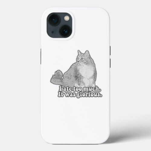 Funny angry cat meme for kitten lovers  cat owner iPhone 13 case