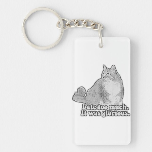 Funny angry cat meme for kitten lovers & cat owner keychain (Front)