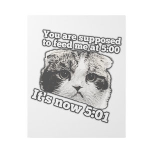 Funny angry cat meme for kitty owners gallery wrap
